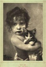 19. Petit Chat